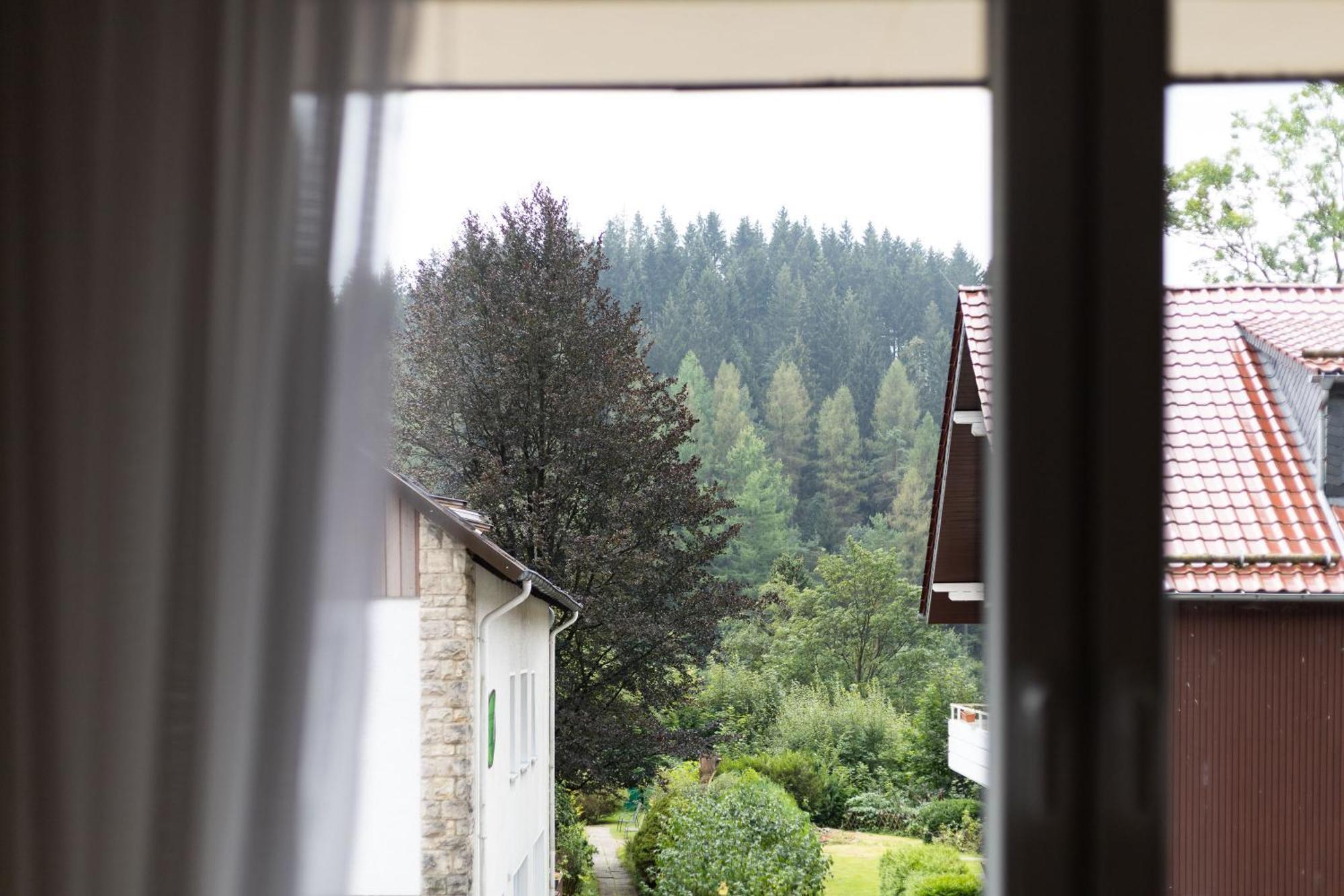 Apartmenthaus Am Waldrand- Kueche - Fruehstueck - Balkon Вільдеманн Екстер'єр фото